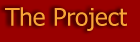 Link: The Project