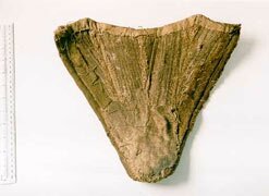 Image of part of an 18th century corset